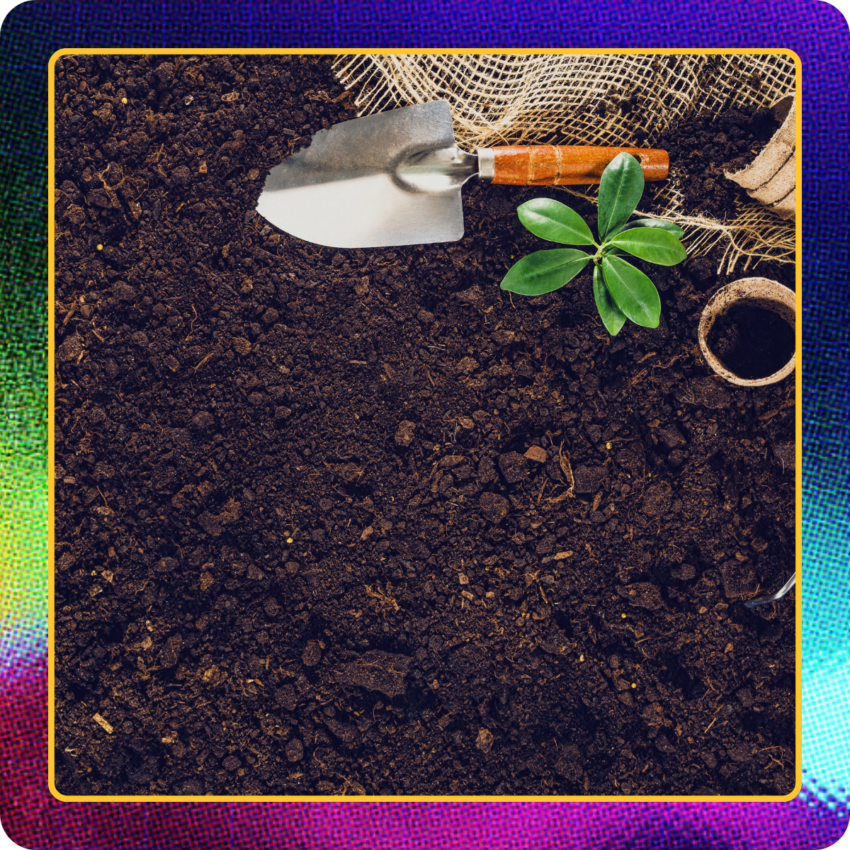 12-Oct-30-2025-10-20-57-1530-PM 12-Oct-30-2025-10-20-57-1530-PM