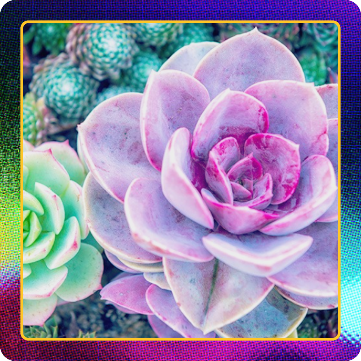 13-Mar-04-2026-09-15-33-4522-PM